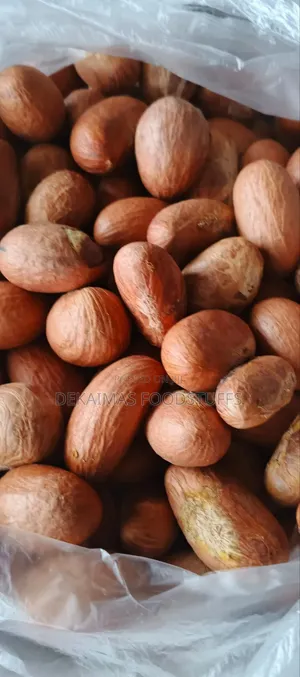 Premium Dried Bitter Kola Available in Lagos