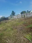 Distress Sale: 600sqm Dry Plot of Land in Oribanwa Phase 2 - 2