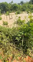 4 Bedroom House on 50x100 Plot for Sale - 2
