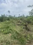 4 Bedroom House on 50x100 Plot for Sale - 3