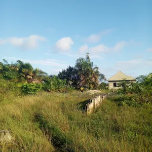 Land for Sale in Baba Adisa Town, Ibeju Lekki, Lagos
