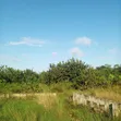 Land for Sale in Baba Adisa Town, Ibeju Lekki, Lagos - 3