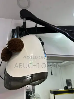 Equator 3000 Professional Wall-Mounted Hooded Hair Dryer