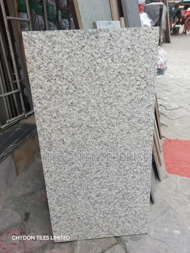 Floor Tiles 30x60cm - 1