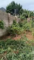 Fertile Land for Sale in Choba, Port-Harcourt - 1