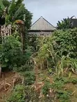 Fertile Land for Sale in Choba, Port-Harcourt - 2
