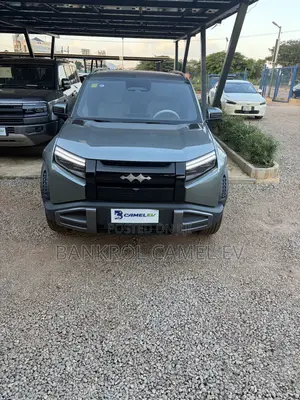 BYD Fangchengbao Leopard 3 2025 Green