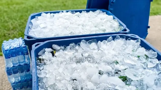 Ice Chest Rentals for Parties in Lagos - 1