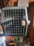 Airline Approved Pet Travel Carrier Crate for Cats & Dogs - 1