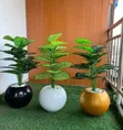 Decorative Flower Vases & Pots - All Sizes - 1