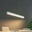 Linear Drop Light - 1