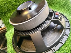 Sunnybest 15-Inch Speaker, Double Magnet, 100 Coil