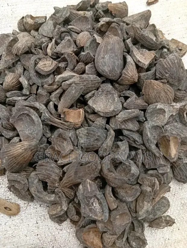 Palm Kernel Shells for Sale - 1