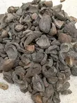 Palm Kernel Shells Don Sayarwa - 1