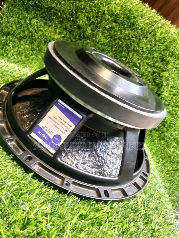 Sunnybest 12-Inch Speaker (100 Coil) - 1