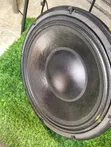 Sunnybest 12-Inch Speaker (100 Coil) - 3