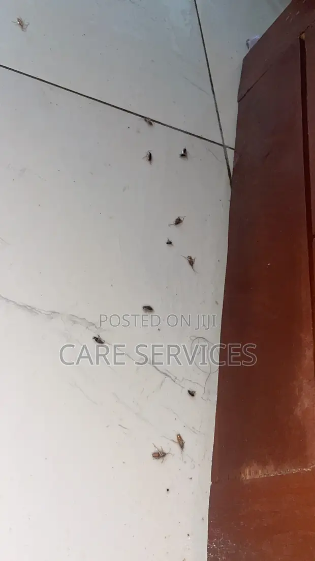 Sabis na Kawar da Mazaunai masu Inganci - 1