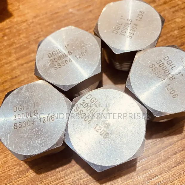 1" x 3000 PSI Stainless Steel Pressure Blind Plug - 1