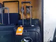 Leaves King Black Rolling Laptop Travel Luggage - 2