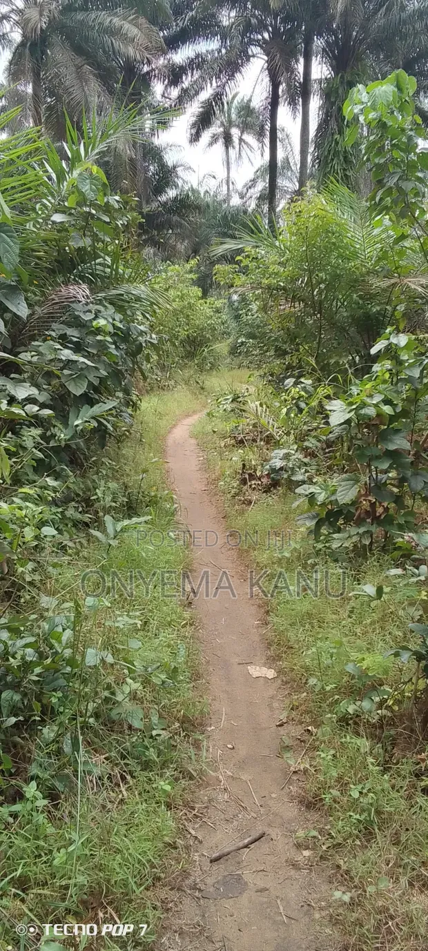 400 Plots of Virgin Land for Sale in Ndoki - 1