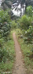 400 Plots of Virgin Land for Sale in Ndoki - 1