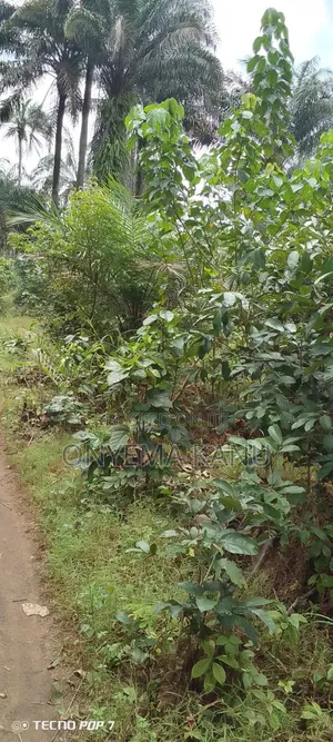 400 Plots of Virgin Land for Sale in Ndoki