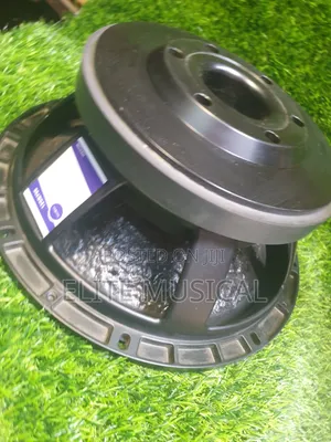 Sunny Best 12-Inch 100 Coil Loudspeaker Driver