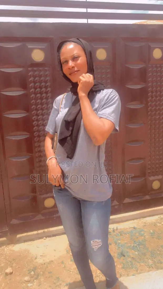 Professional CV - Calm, Intelligent, Respectful & God-Fearing - 1