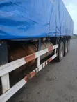 Dangote & Bua Cement Distributor - 2