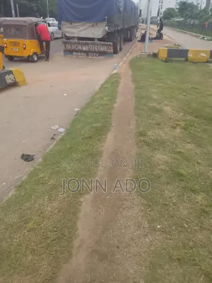 Dangote and Bua Cement - 50kg Bags
