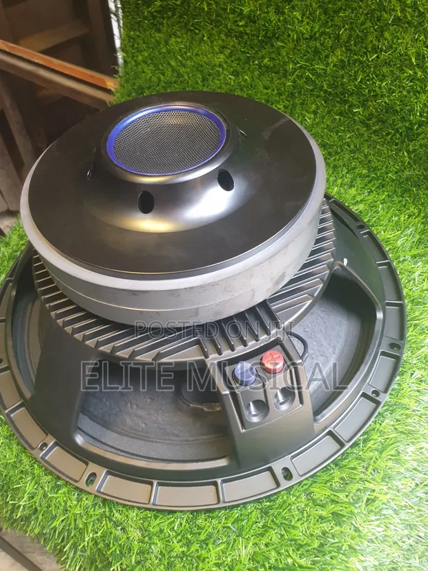 Professional 15-Inch 100 Coil Speaker - 1