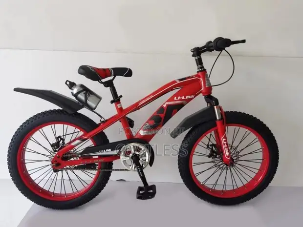20-Inch Fat Tire Kids Bicycle (7-18 Years) - 1