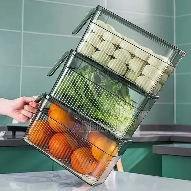 Vegetable Storage Container - 1