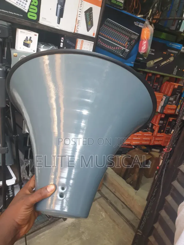 Professional Ahuja Horn Speaker - 1