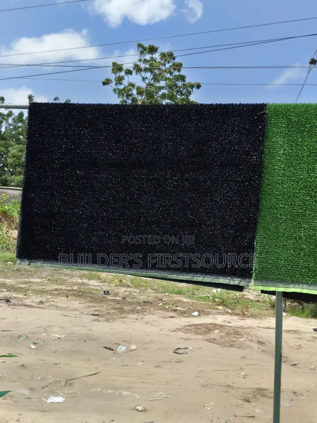 Colored Carpet Grass - 1