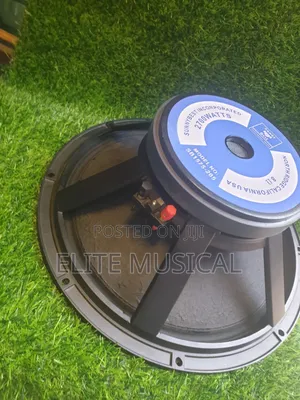 Sunnybest 15-Inch Speaker 75.5mm Coil 2700W