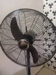Nexus Tower Fan - Black - 2