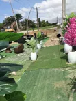 Artificial Flower - 2