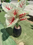 Artificial Flower - 4