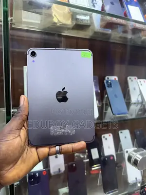 Apple iPad mini 6 256GB Gray