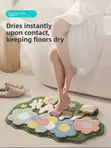 Absorbent Door Mat - Brand New - 1
