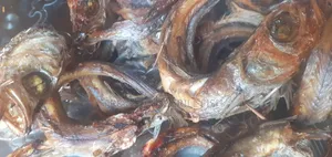 Fresh Oven Grilled Fish
