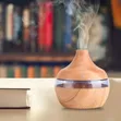 FT-003 Essential Oil Diffuser & Humidifier - 2