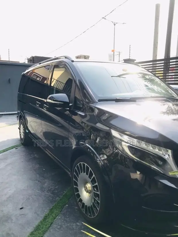 Mercedes-Benz Viano don haya - 1