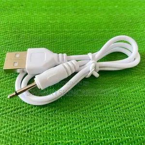 Pin Charger for Bullet and Wand