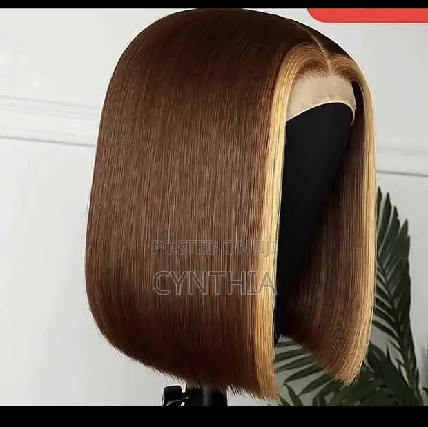 Healthy Hair Original Bone Straight Human Hair Wig - 1