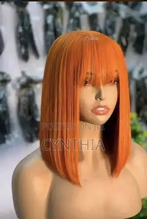 Healthy Hair Original Bone Straight Human Hair Wig
