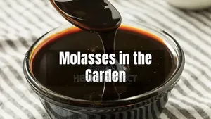 Organic Blackstrap Molasses - 600ml