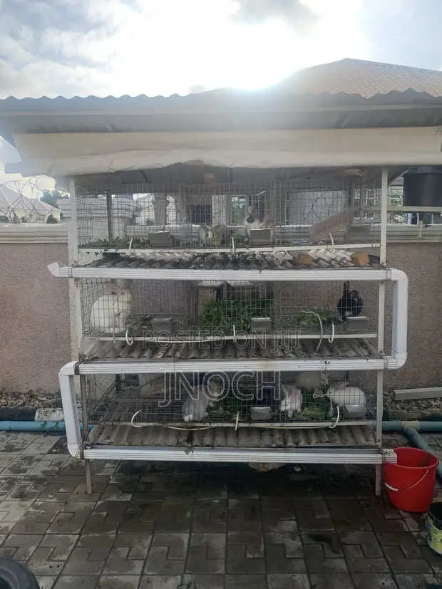 9 Compartment Rabbit Cage (Turnkey Assembly) - 1