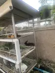 9 Compartment Rabbit Cage (Turnkey Assembly) - 3